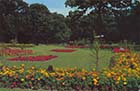 Dane Park Flower Beds  1980 [colour PC]